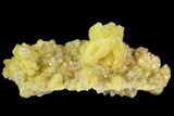 Sulfur Crystal Cluster - Nevada #69147-2